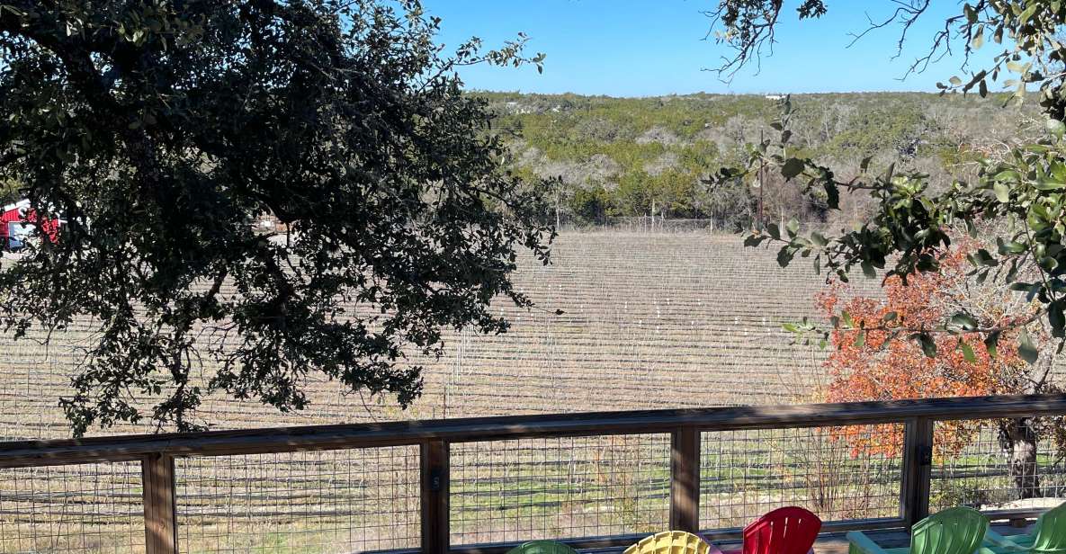 Cost-Effective Texas Hill Country Wine and Brewery Tour - Group Size and Personalisation