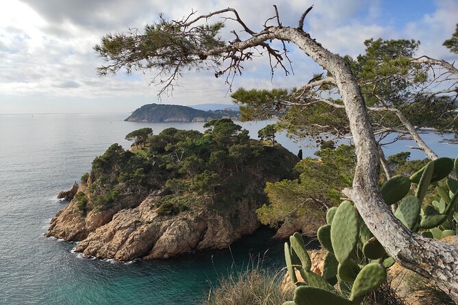 Costa Brava Coast Hike and Snorkel From Barcelona With Lunch - Inclusions and What to Bring