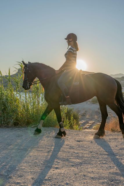 Crete Horse Riding: Mesmerizing Sunset Ride - Feedback From Customers