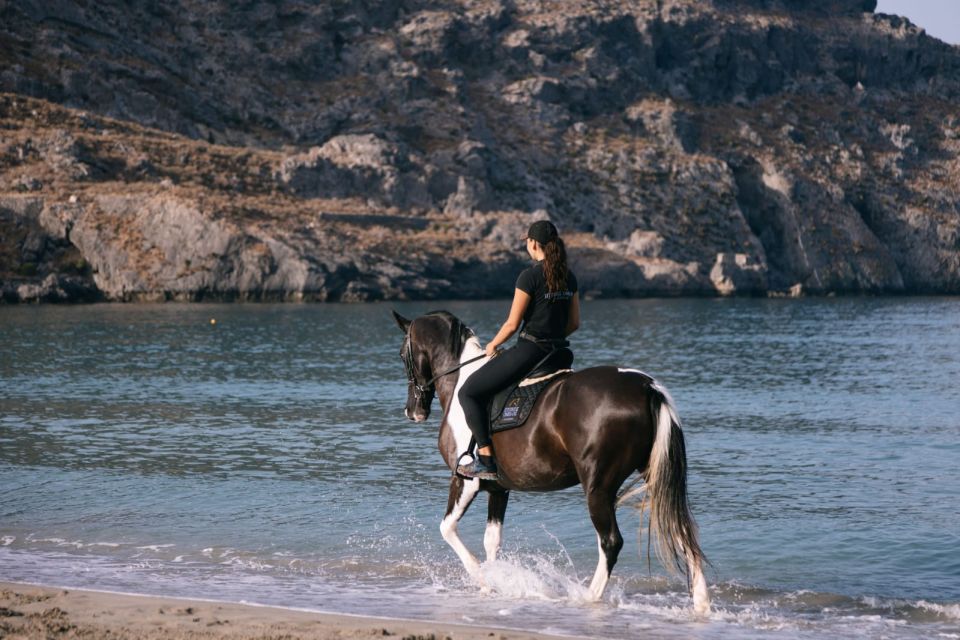 Crete Horse Riding: Plakias Beach Ride - Customer Reviews