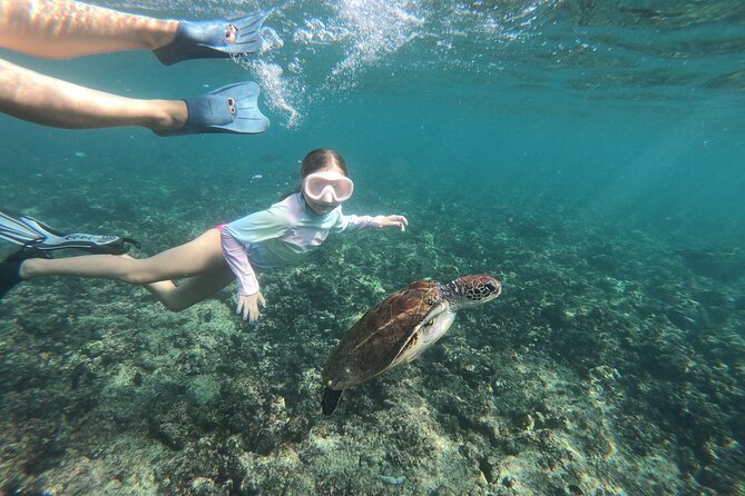 Cruises to Daymaniyat & Snorkeling - Spotting Marine Life