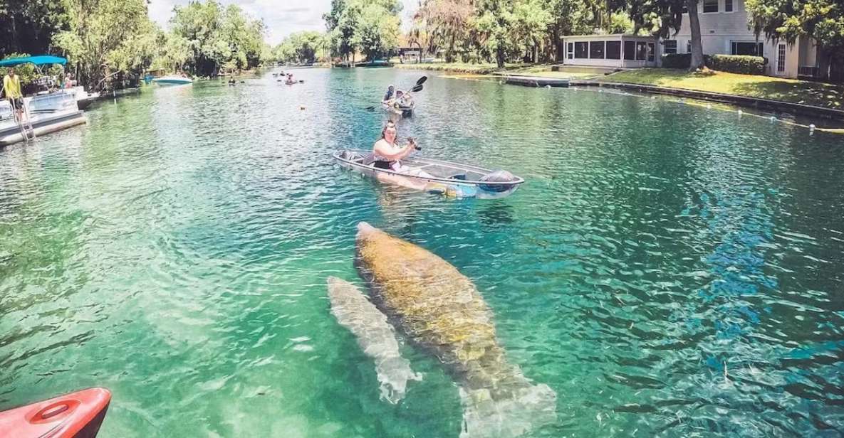 Crystal River: Clear Kayak Manatee Ecotour - Important Information and Restrictions