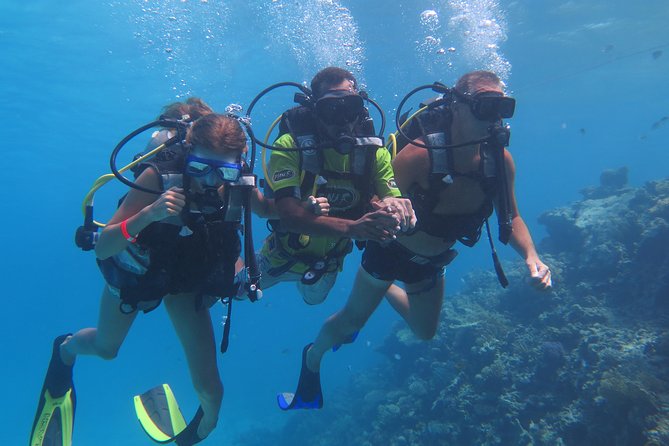 Daily 2 Dives With Equipment From Hurghada - Additional Fees