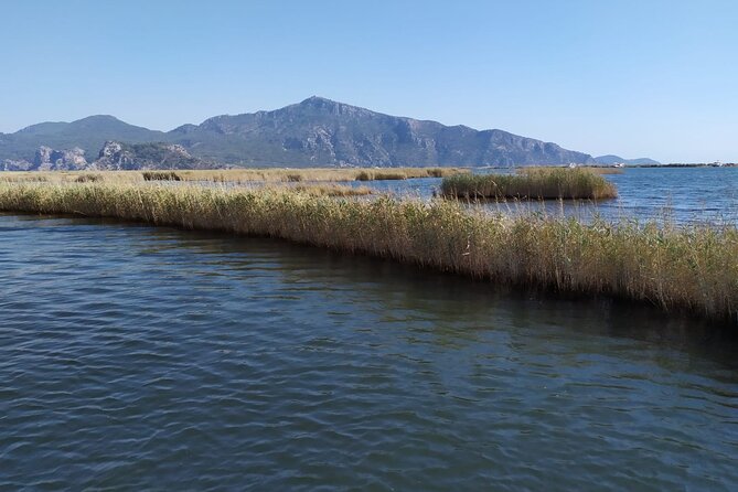 Dalyan Mud Bath and Turtle Beach From Sarigerme - Lunch at Local Restaurant