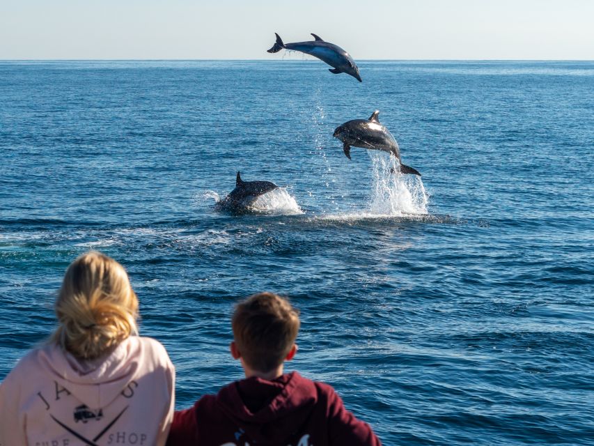 Dana Point Dolphin & Whale Watching With Underwater Viewing - Booking and Cancellation