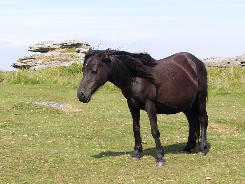 Dartmoor: Hound of the Baskervilles Experience - Holy Trinity Church