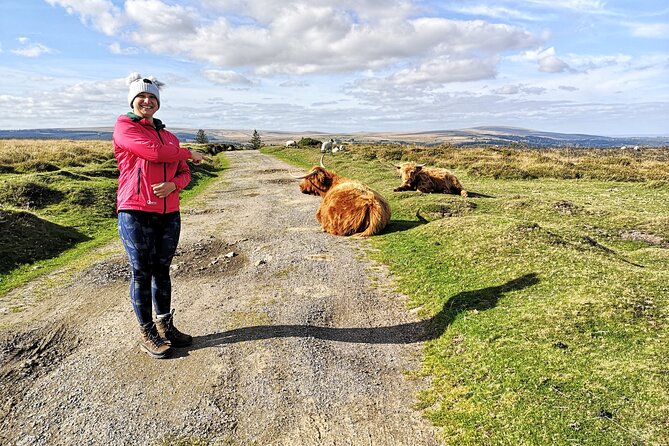 Dartmoor Tour in Luxury Mercedes 7 X Seater - Tour Accessibility and Recommendations