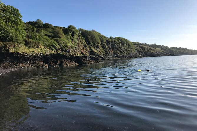 Dawn Pilgrimage and Swim in West Cork - Tour Start and End Times