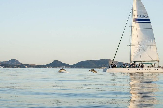 Day Catamaran Trip: Cap Des Freus and Llevant Natural Park - Meeting Point and Pickup