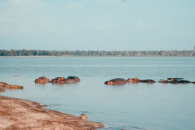 Day Safari Tour Selous Game Reserve - Cancellation Policy