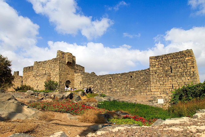 Day Tour Desert Castles & Azraq Wetland Reserve - Additional Information