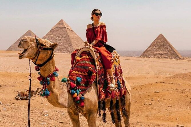 Day Tour Giza Pyramids by Camel In Egypt - Transportation Arrangements