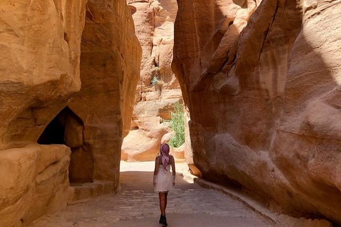 Day Tour to Petra From Amman - Guide and Inclusions