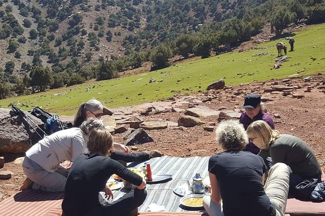 Day Trip From Marrakech to Atlas Mountains & Berber Village Hike - Immersion in Traditional Culture