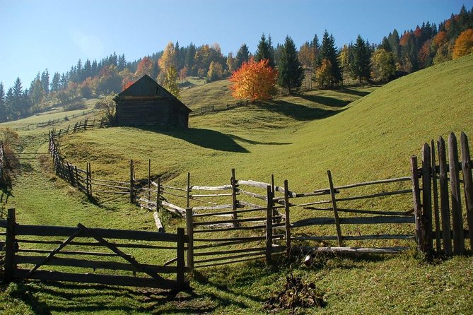 Day Trip on Quad ATV - Transylvanian Outdoor Adventure - Health and Safety Information