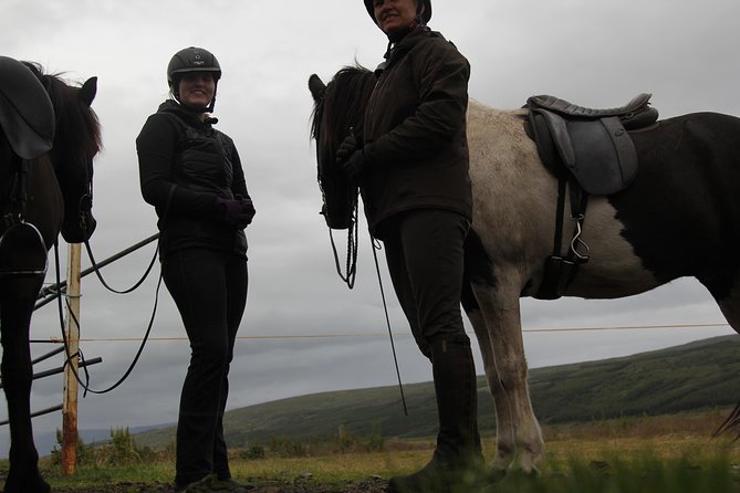 Deacon Horse Riding Tour - Customer Feedback