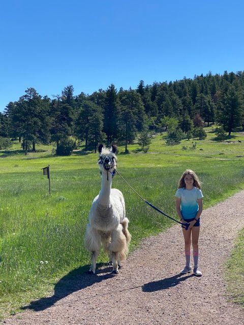 Denver: Llama Hike in the Rocky Mountains - Group Size and Physical Requirements