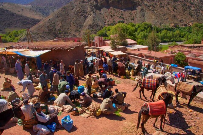 Desert Agafay & Waterfalls & Atlas Mountains Camel Ride Day Trip From Marrakech - Transportation and Accessibility