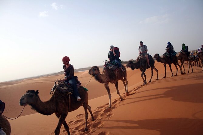 Desert Trip: Fès-Merzouga (1 Night) - Ouarzazat (1 Night) - Marrakech - Tour Ait-Ben-Haddou and Marrakech