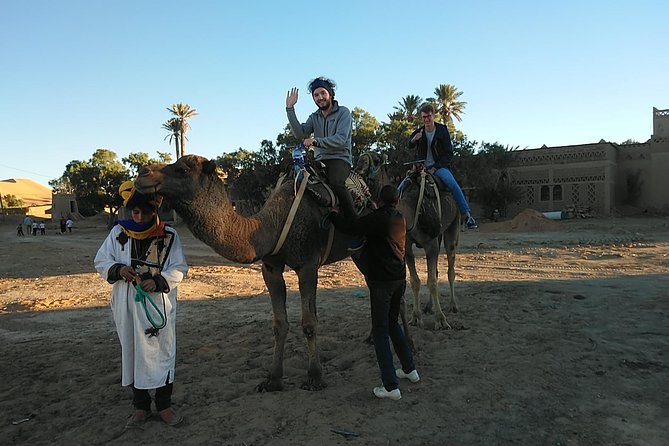 Desert Trip From Fes to Fes via Merzougua (2days,1night) - Reviews and Ratings