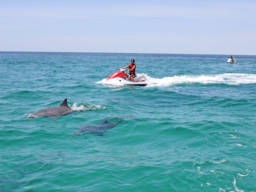 Destin: Crab Island Dolphin Watching Jet Ski Tour - Coastal Scenery Experience