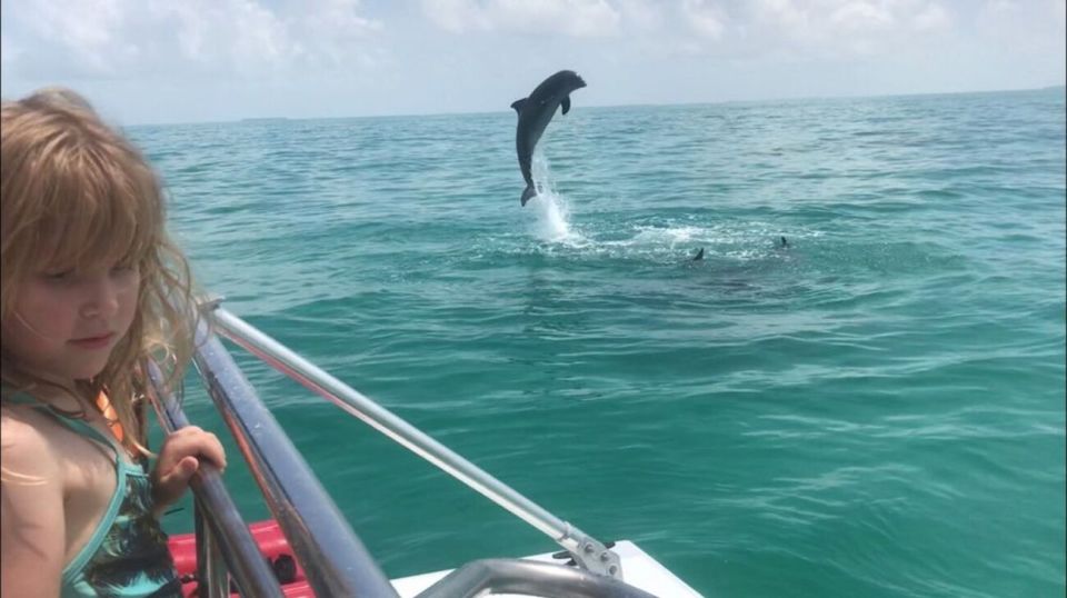 Destin: Dolphin Watch Cruise - Customer Reviews