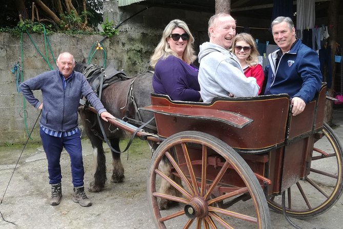 Dingle Town & Peninsula Private Chauffeur Driven Day Tour From Killarney Luxury - Exploring Inch Beach