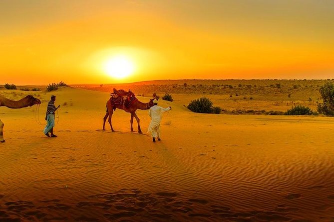 Dinner at Sunset & Camel Ride in Marrakech Desert Agafa - Camel Ride Through the Desert