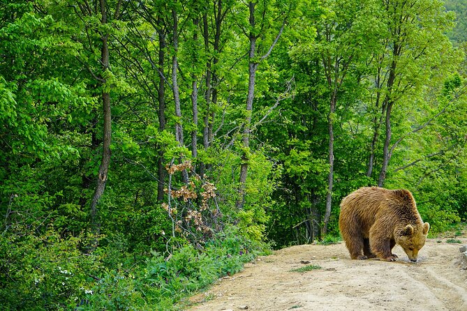 Discover Highlights of Kosovo in 4 Days Tour! - Hiking in the Rugova Mountains