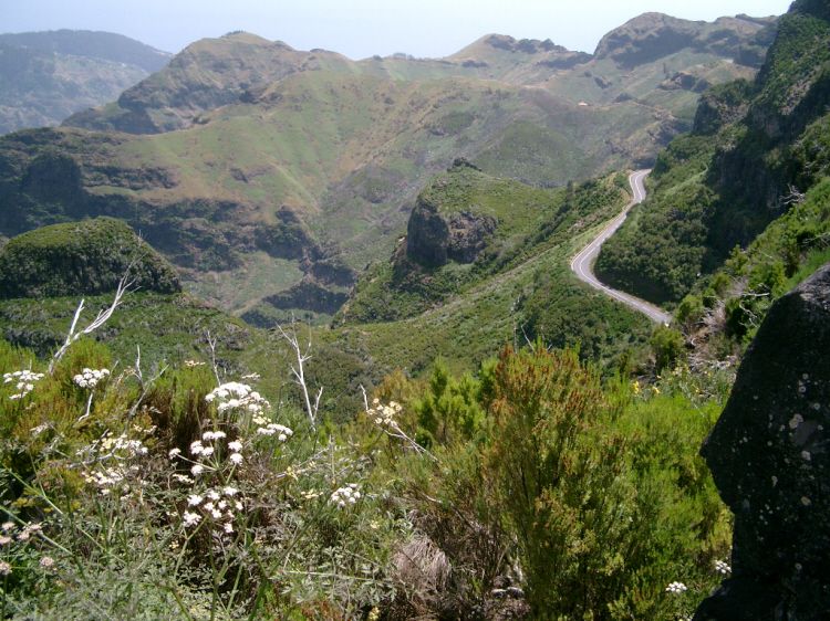 Discover Madeira: Full-Day Tour to Porto Moniz - Important Booking Information