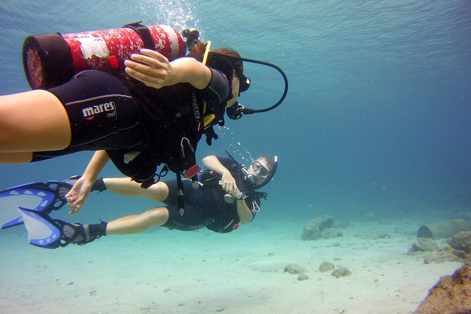 Discover Scuba Diving in Curacao - Logistical Details