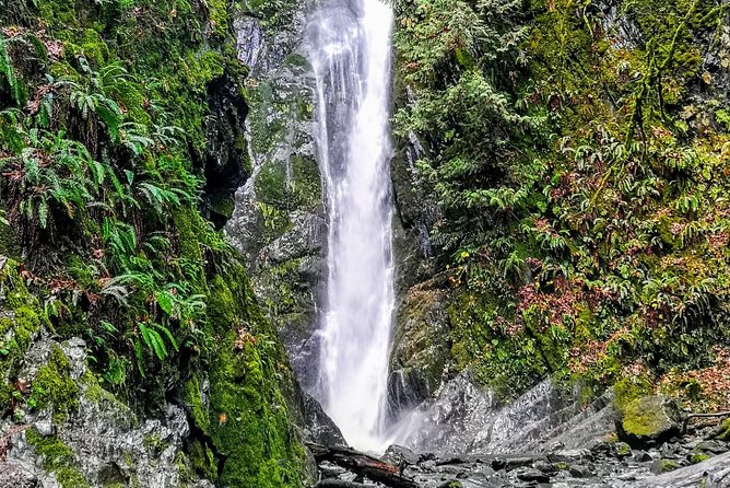 Discover Sooke to Port Renfrew Scenic Tour of Vancouver Islands - Booking Confirmation