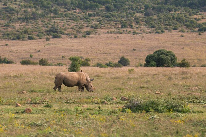 Discover the Pilanesberg With a Personalized Full Day Safari - Meal and Refreshment Offerings