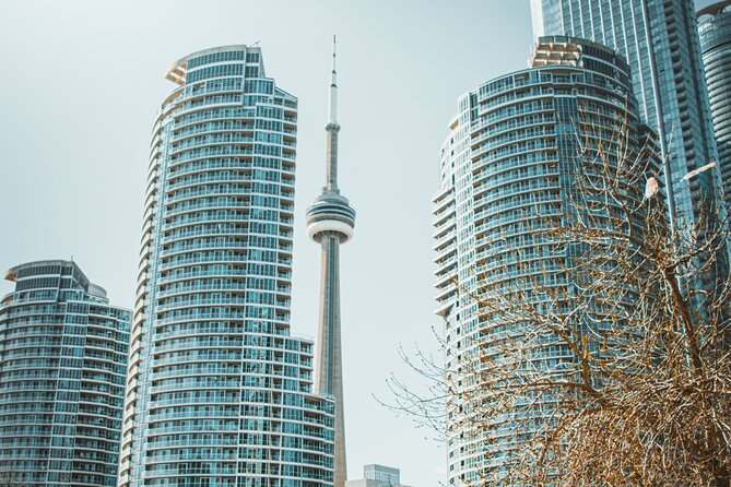 Discover Torontos Waterfront With a Smartphone Trivia Game! - Accessibility and Policies