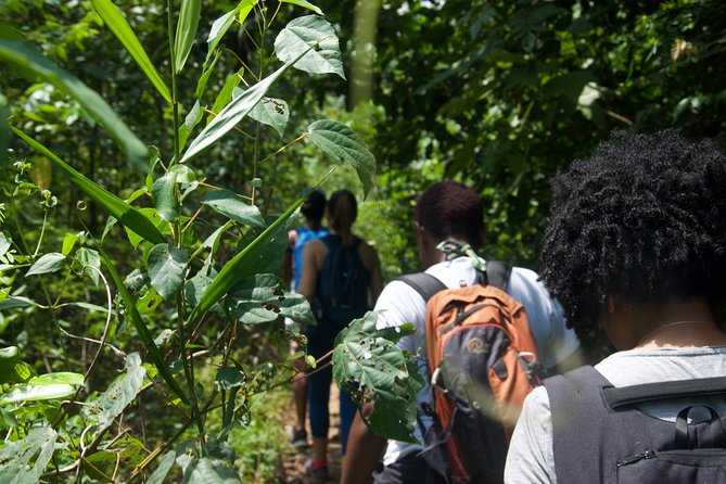 Discovery Bini Lagoon - Exploring the Unknown