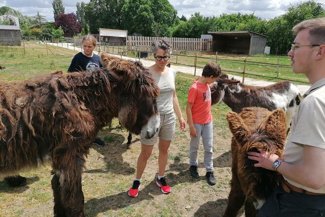 Discovery Day in the Footsteps of the Baudet Du Poitou - Optional Extras and Upgrades