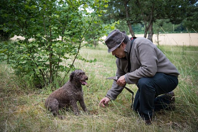 Discovery of the World of Truffles and Tasting - Logistical Details and Inclusions