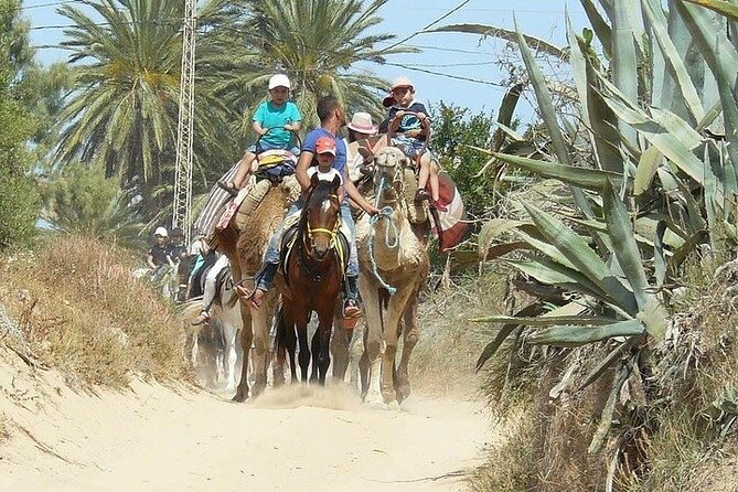 Discovery Ride on Horseback or Camel 2h30 - Cancellation Policy