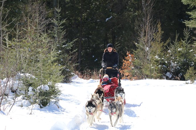 Dogsled Adventure in Mont-Tremblant - Meeting Point Details