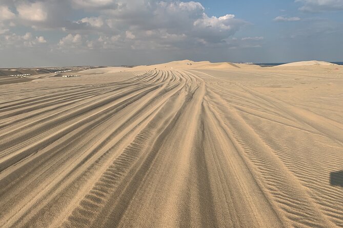 Doha : Night Desert Safari | Transit Safari | Camel Ride | Dune Bashing - Suitability and Accessibility