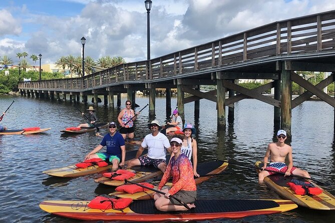 Dolphin and Manatee Stand Up Paddleboard Tour in Daytona Beach - Booking and Availability