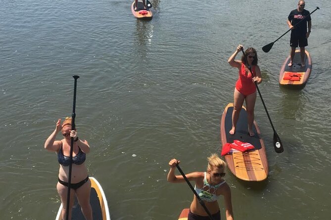 Dolphin, Manatee and SeaTurtle SUP Adventure Tour of St Augustine - Additional Information