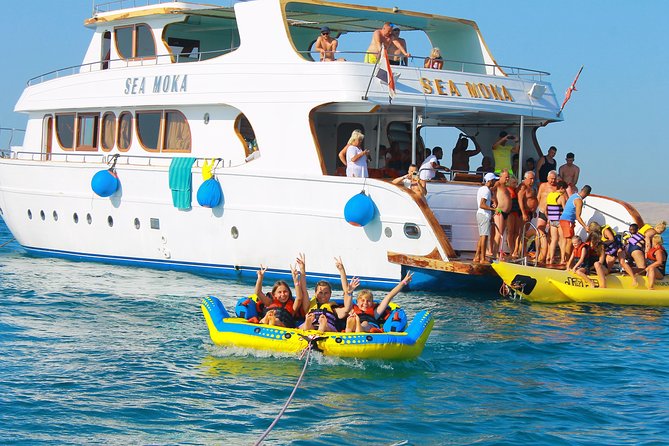 Dolphin Tour in Hurghada - Price