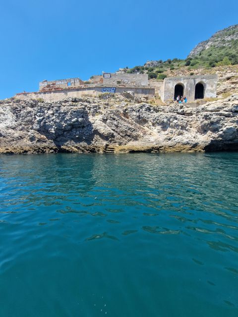 Dolphin Watching: Sesimbra / Arrábida Natural Park - Inclusions and Safety Measures