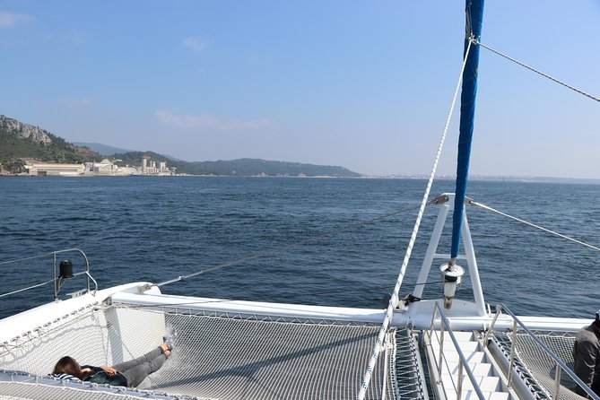 Dolphin Watching Tour by Catamaran From Lisbon - Meeting Point and Time