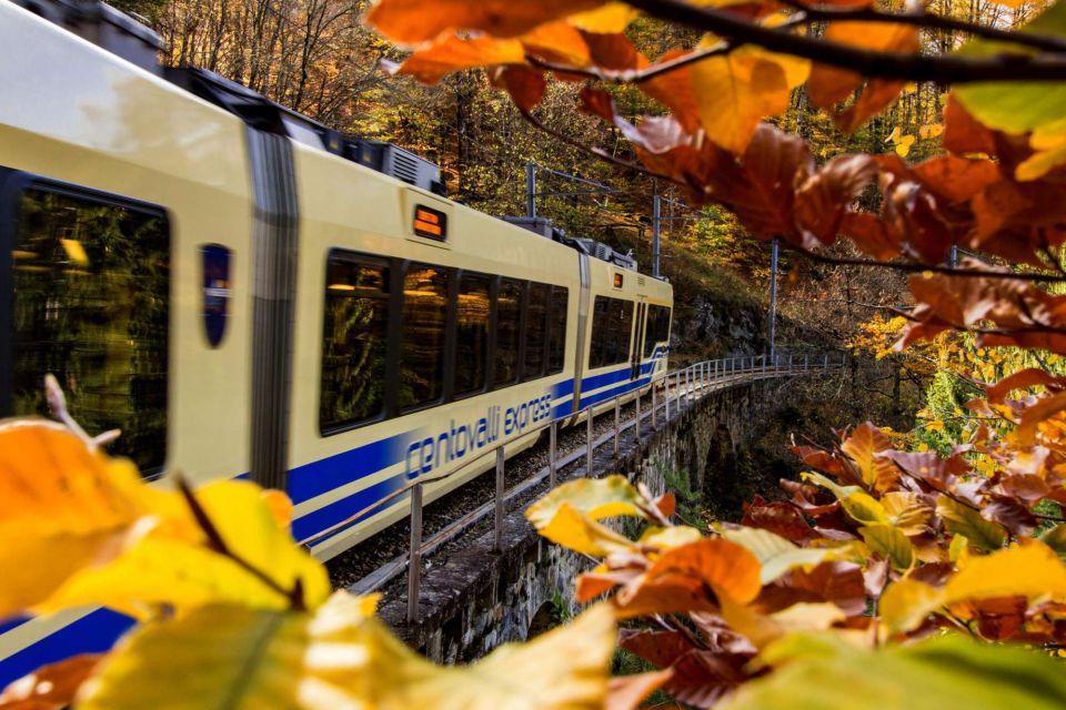 Domodossola: Centovalli Train & Valle Vigezzo Museums Ticket - Suitability and Recommendations