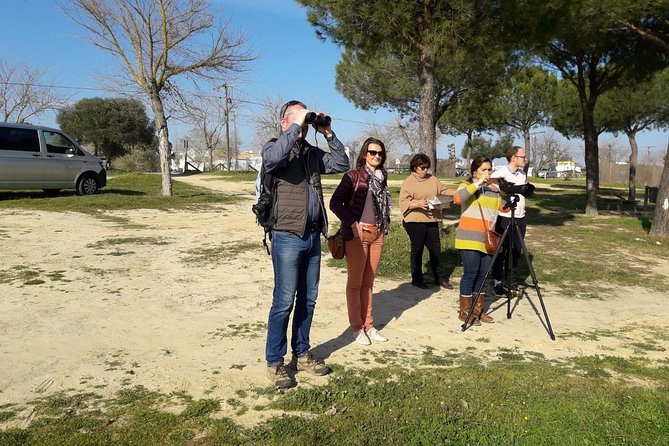 Doñana National Park in 4x4 and El Rocío - Reviews