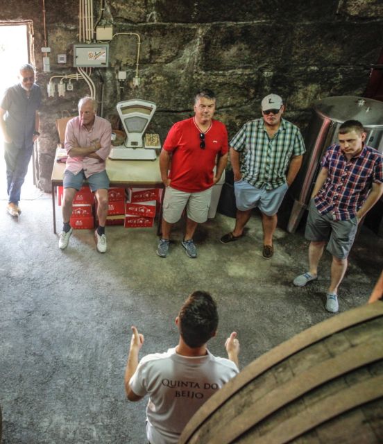 Douro: Classic Wine Tasting With Guided Tour - Accessibility and Suitability