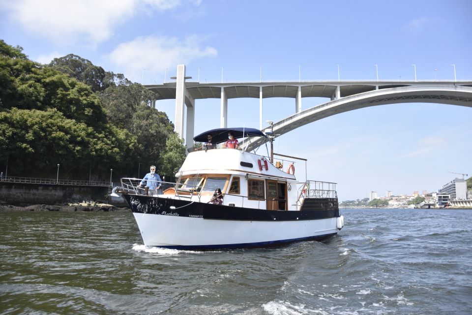 Douro River: Party Boat Tour - Group Size and Pricing