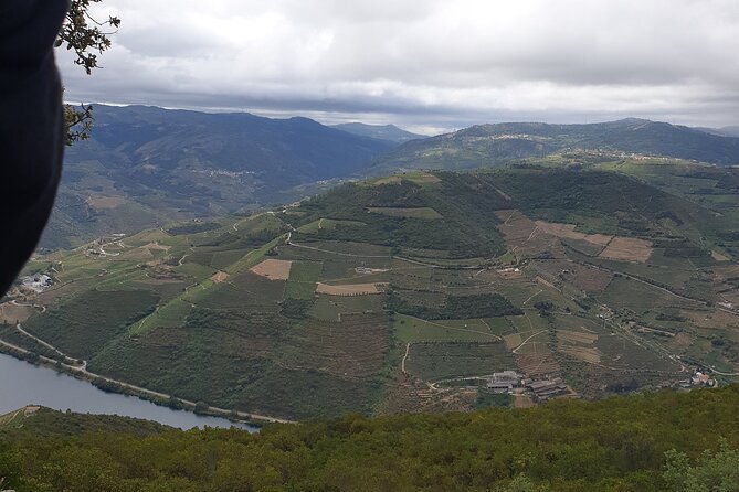 Douro Valley Tour Wine and Breathtaking Views - Private Transportation and Connectivity